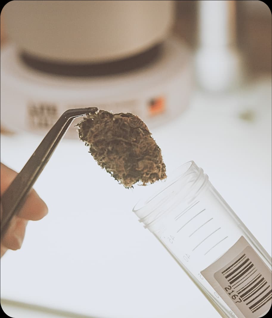 Cannabinoid Analysis